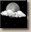 Tuesday Night: Partly Cloudy